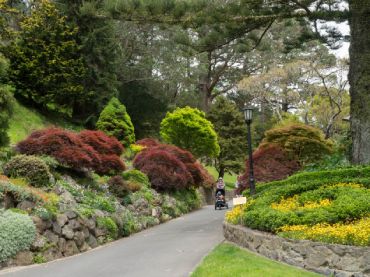 Wellington Botanic Gardens